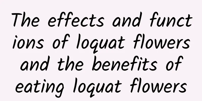 The effects and functions of loquat flowers and the benefits of eating loquat flowers