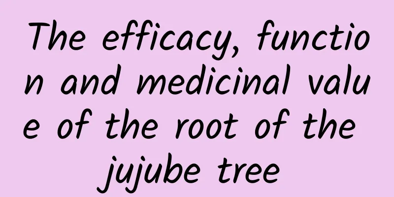 The efficacy, function and medicinal value of the root of the jujube tree