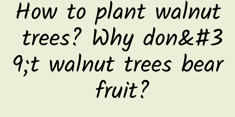 How to plant walnut trees? Why don't walnut trees bear fruit?