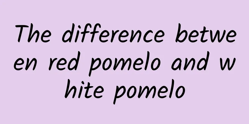 The difference between red pomelo and white pomelo