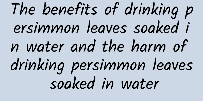 The benefits of drinking persimmon leaves soaked in water and the harm of drinking persimmon leaves soaked in water