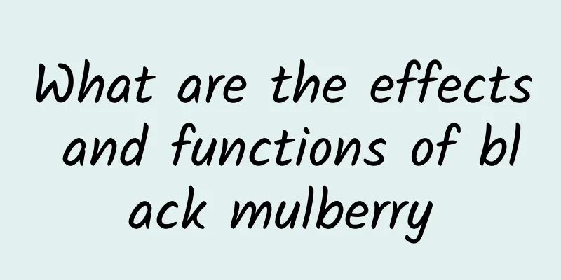 What are the effects and functions of black mulberry