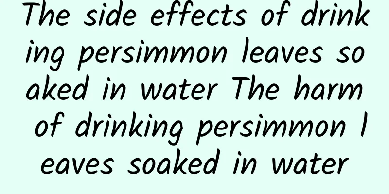 The side effects of drinking persimmon leaves soaked in water The harm of drinking persimmon leaves soaked in water