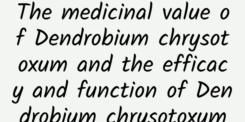 The medicinal value of Dendrobium chrysotoxum and the efficacy and function of Dendrobium chrysotoxum