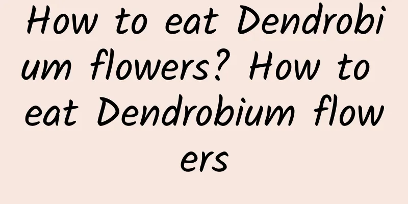 How to eat Dendrobium flowers? How to eat Dendrobium flowers