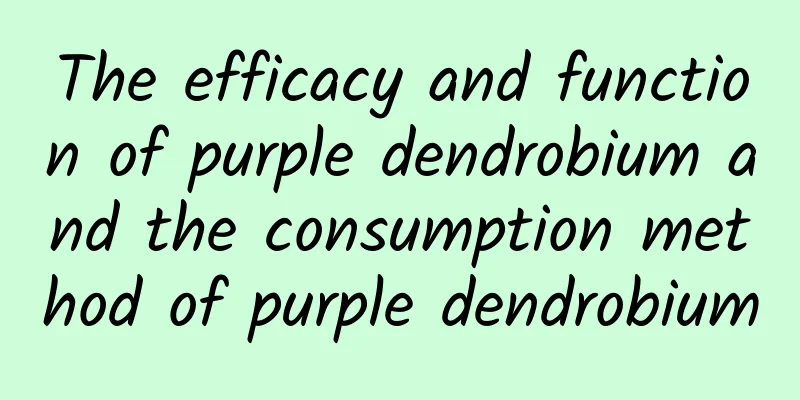 The efficacy and function of purple dendrobium and the consumption method of purple dendrobium