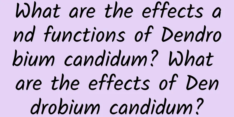 What are the effects and functions of Dendrobium candidum? What are the effects of Dendrobium candidum?