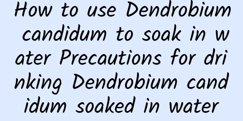 How to use Dendrobium candidum to soak in water Precautions for drinking Dendrobium candidum soaked in water