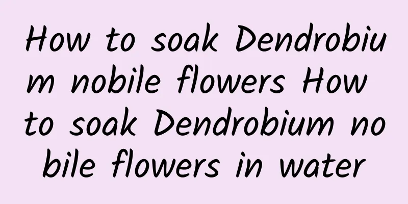 How to soak Dendrobium nobile flowers How to soak Dendrobium nobile flowers in water