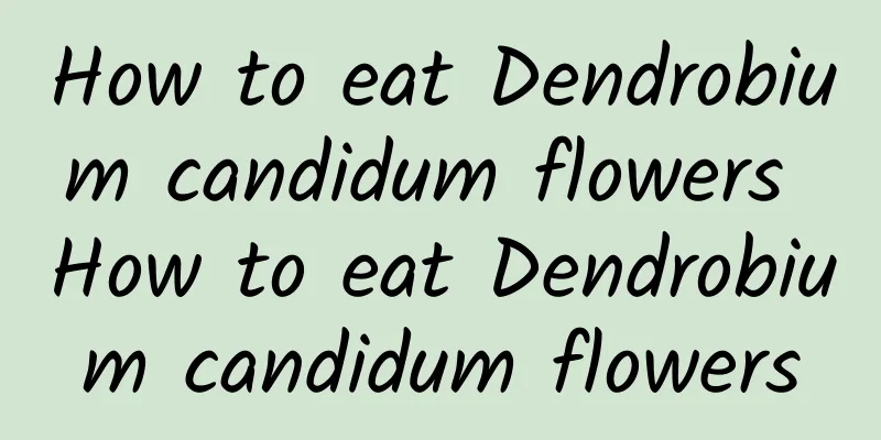 How to eat Dendrobium candidum flowers How to eat Dendrobium candidum flowers