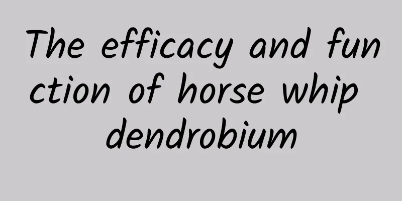 The efficacy and function of horse whip dendrobium