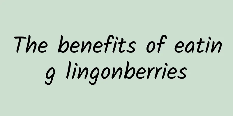 The benefits of eating lingonberries