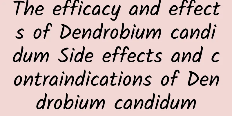 The efficacy and effects of Dendrobium candidum Side effects and contraindications of Dendrobium candidum