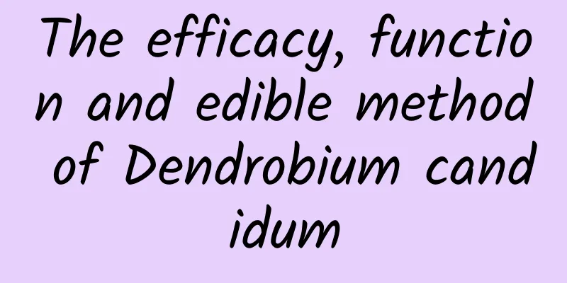 The efficacy, function and edible method of Dendrobium candidum