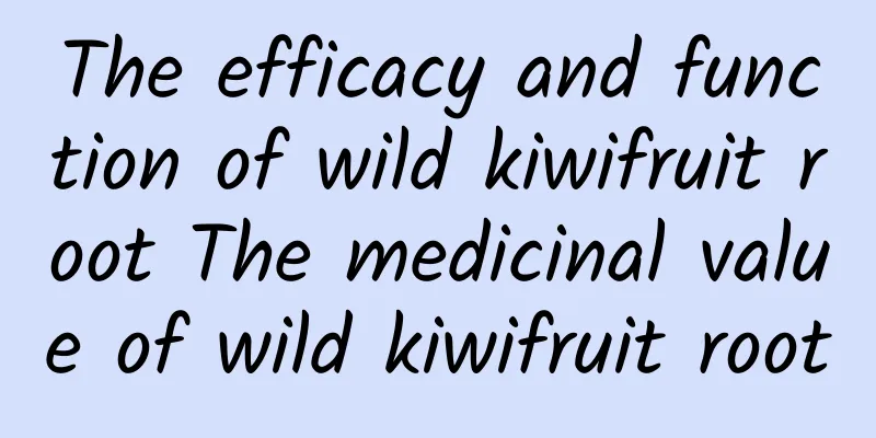 The efficacy and function of wild kiwifruit root The medicinal value of wild kiwifruit root