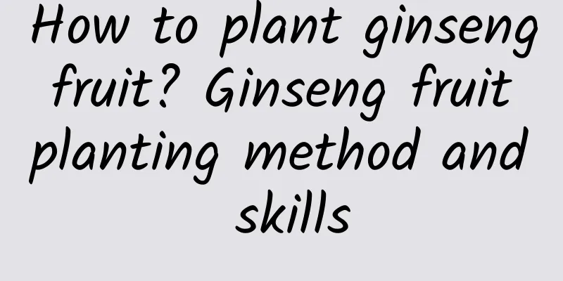 How to plant ginseng fruit? Ginseng fruit planting method and skills