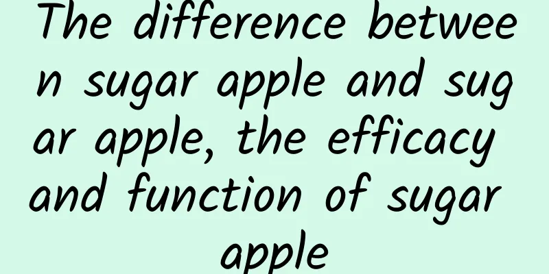 The difference between sugar apple and sugar apple, the efficacy and function of sugar apple