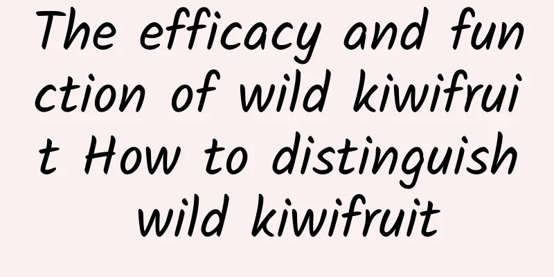 The efficacy and function of wild kiwifruit How to distinguish wild kiwifruit