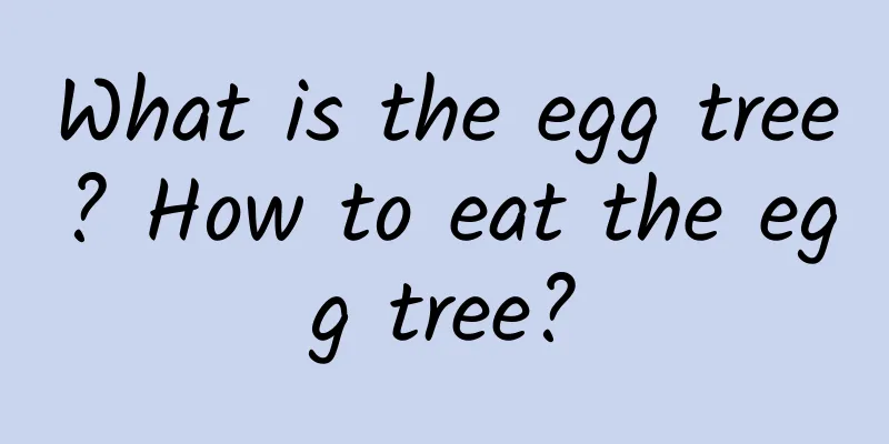 What is the egg tree? How to eat the egg tree?