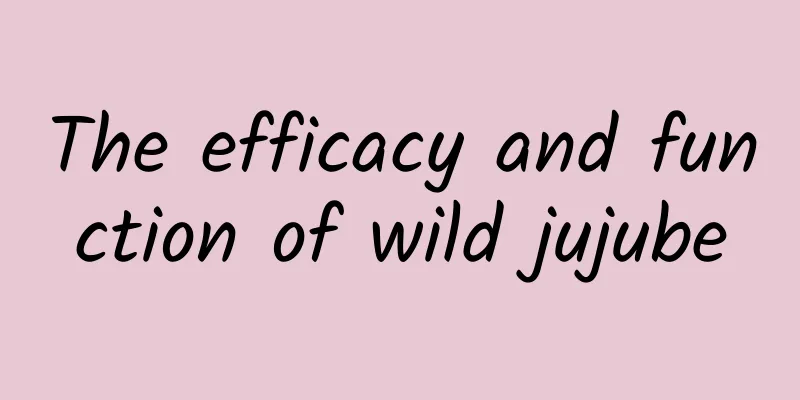 The efficacy and function of wild jujube