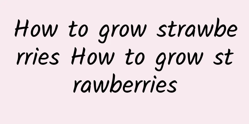 How to grow strawberries How to grow strawberries