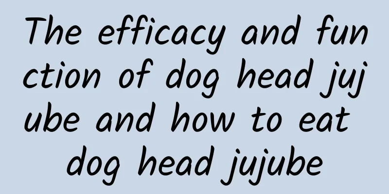 The efficacy and function of dog head jujube and how to eat dog head jujube