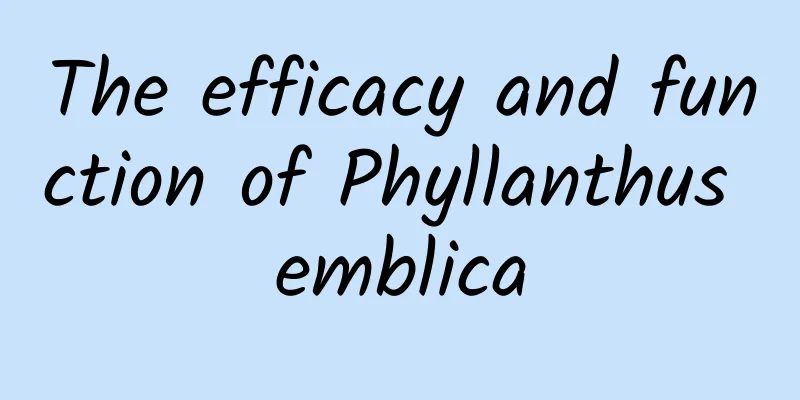 The efficacy and function of Phyllanthus emblica