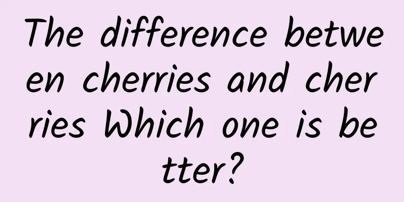 The difference between cherries and cherries Which one is better?