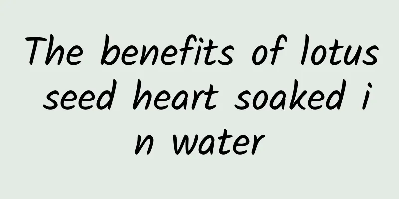 The benefits of lotus seed heart soaked in water