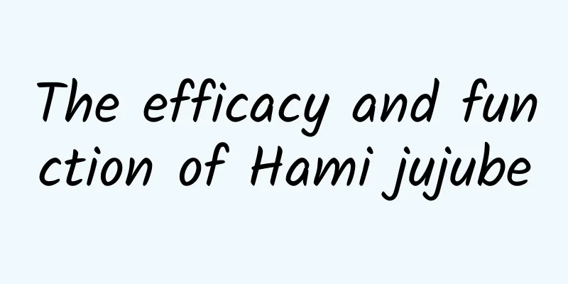 The efficacy and function of Hami jujube