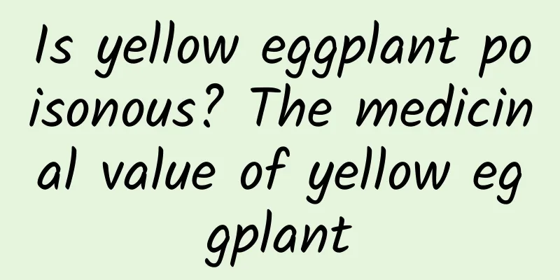 Is yellow eggplant poisonous? The medicinal value of yellow eggplant