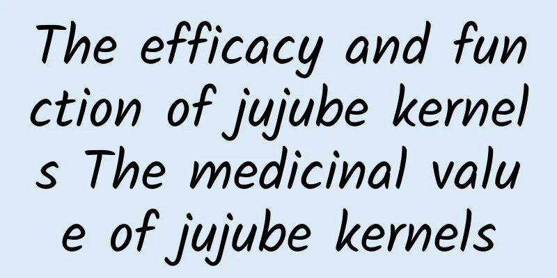 The efficacy and function of jujube kernels The medicinal value of jujube kernels