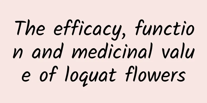 The efficacy, function and medicinal value of loquat flowers