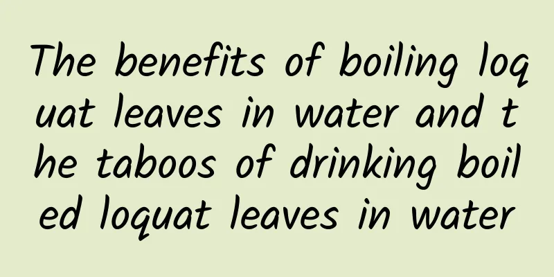 The benefits of boiling loquat leaves in water and the taboos of drinking boiled loquat leaves in water