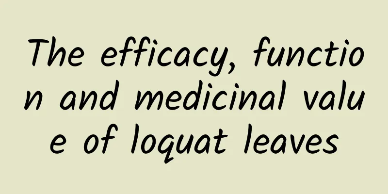 The efficacy, function and medicinal value of loquat leaves