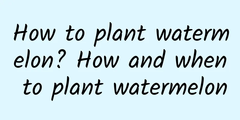 How to plant watermelon? How and when to plant watermelon