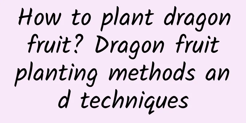 How to plant dragon fruit? Dragon fruit planting methods and techniques