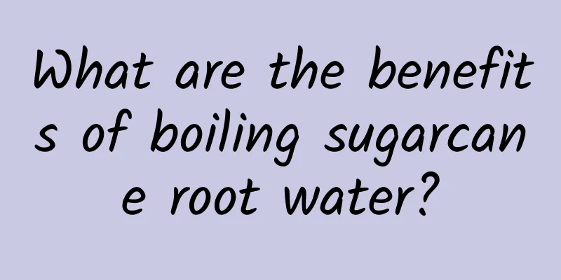 What are the benefits of boiling sugarcane root water?