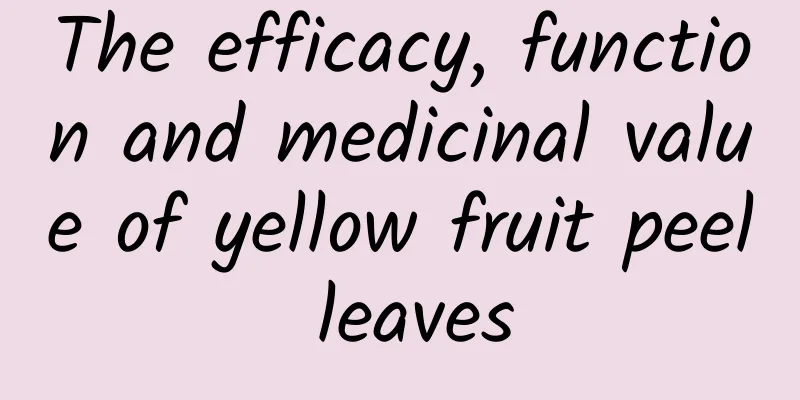 The efficacy, function and medicinal value of yellow fruit peel leaves