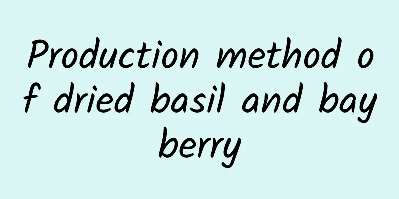 Production method of dried basil and bayberry