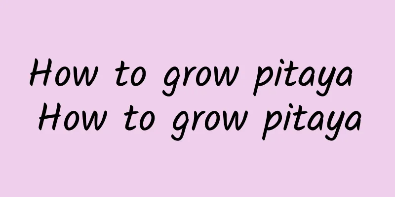 How to grow pitaya How to grow pitaya