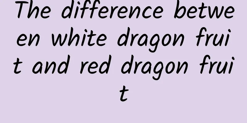 The difference between white dragon fruit and red dragon fruit