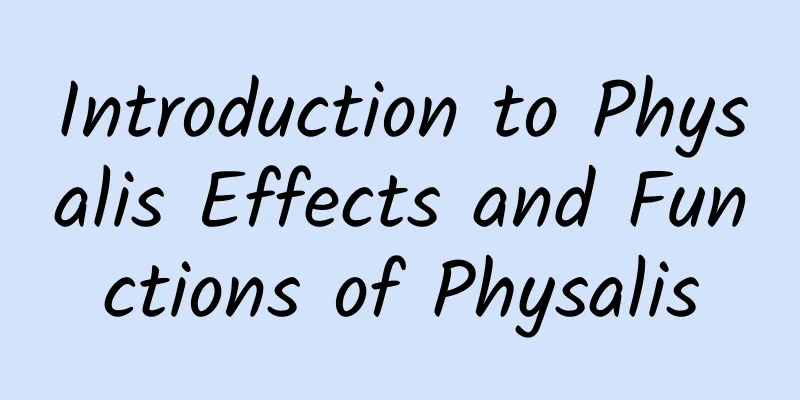 Introduction to Physalis Effects and Functions of Physalis