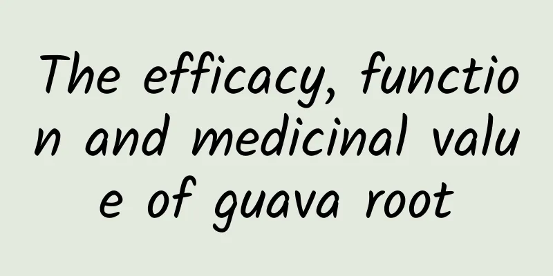 The efficacy, function and medicinal value of guava root