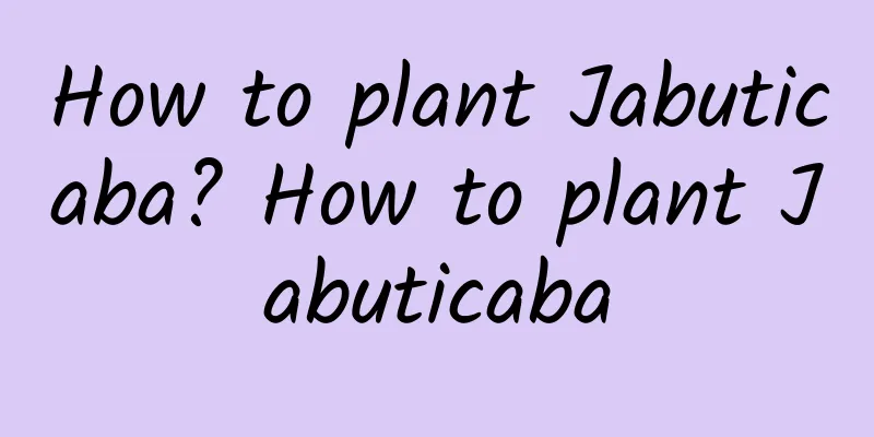 How to plant Jabuticaba? How to plant Jabuticaba