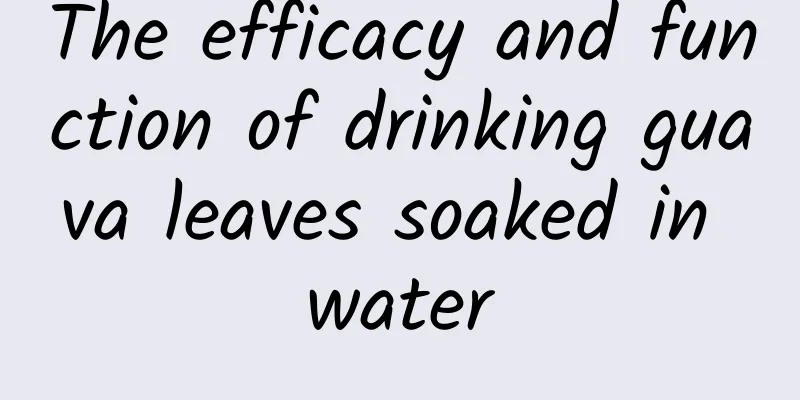 The efficacy and function of drinking guava leaves soaked in water