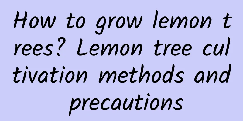 How to grow lemon trees? Lemon tree cultivation methods and precautions