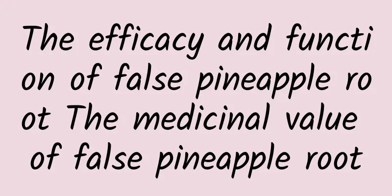 The efficacy and function of false pineapple root The medicinal value of false pineapple root