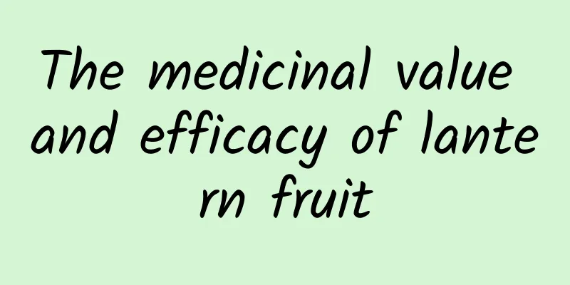 The medicinal value and efficacy of lantern fruit