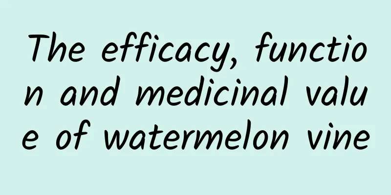 The efficacy, function and medicinal value of watermelon vine